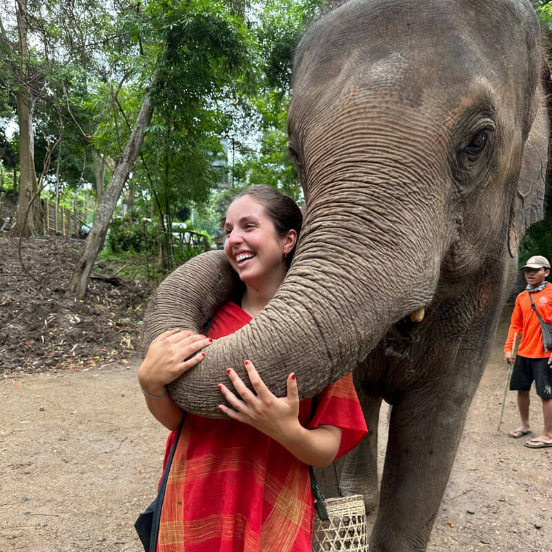 Making friends with an elephant